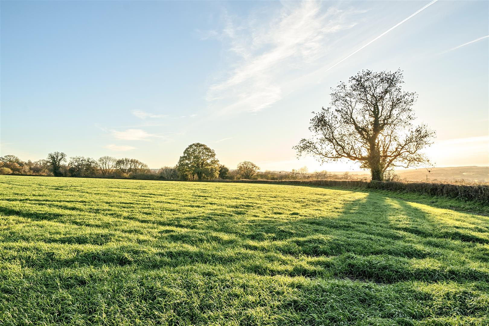 Property Image 8627ab98-9503-4242-9bf1-11e2a05fd3a4