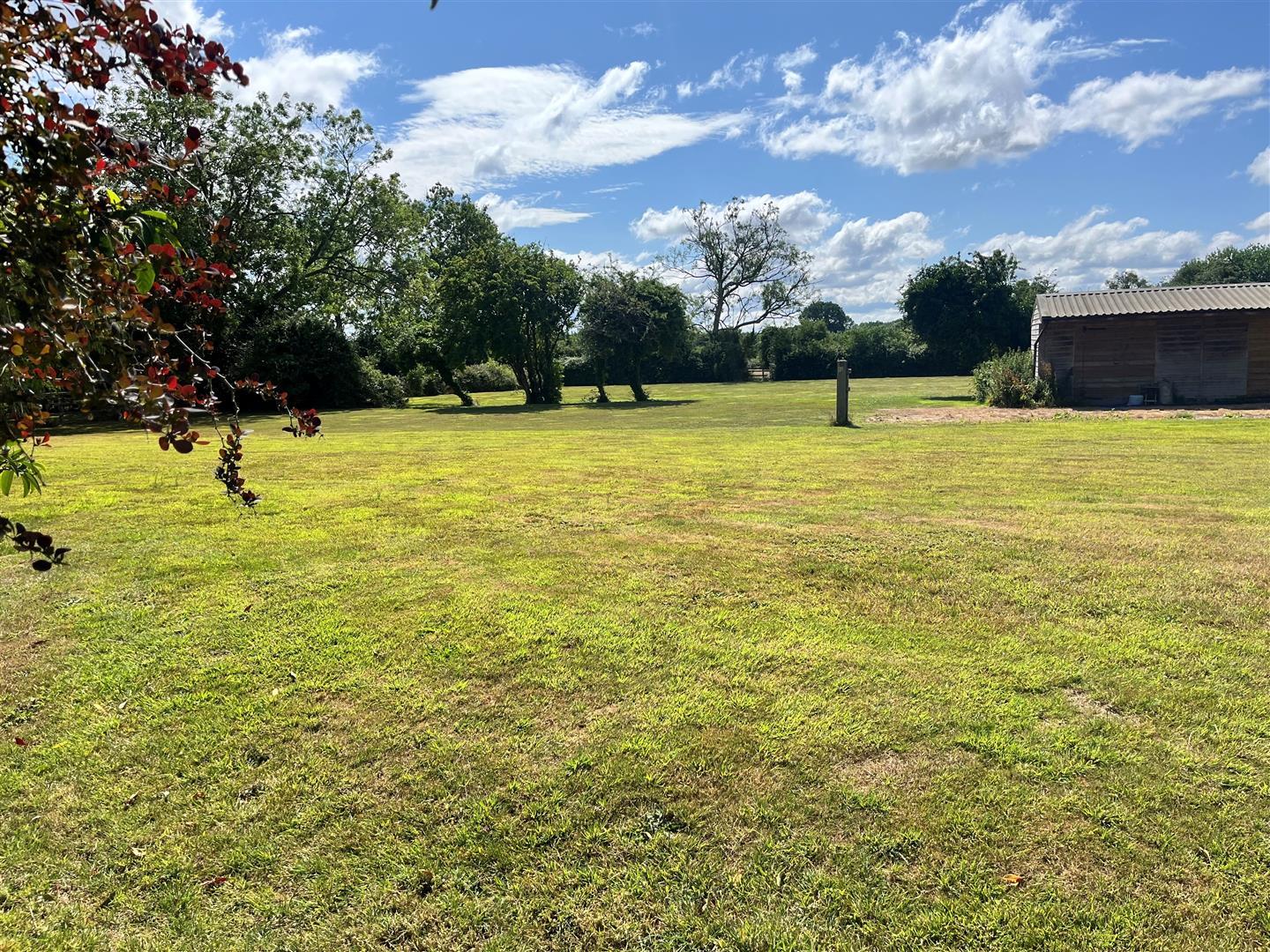 Property Image 863249d1-27c8-487d-a42a-19385ad2f161
