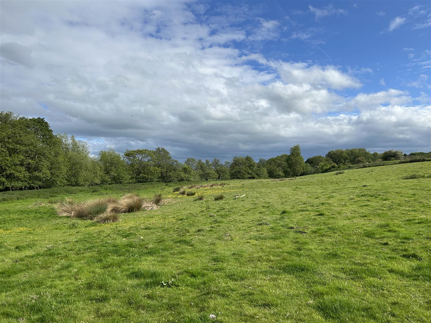 Property Image 867e76cd-a793-432a-95ef-5c2b23a04658