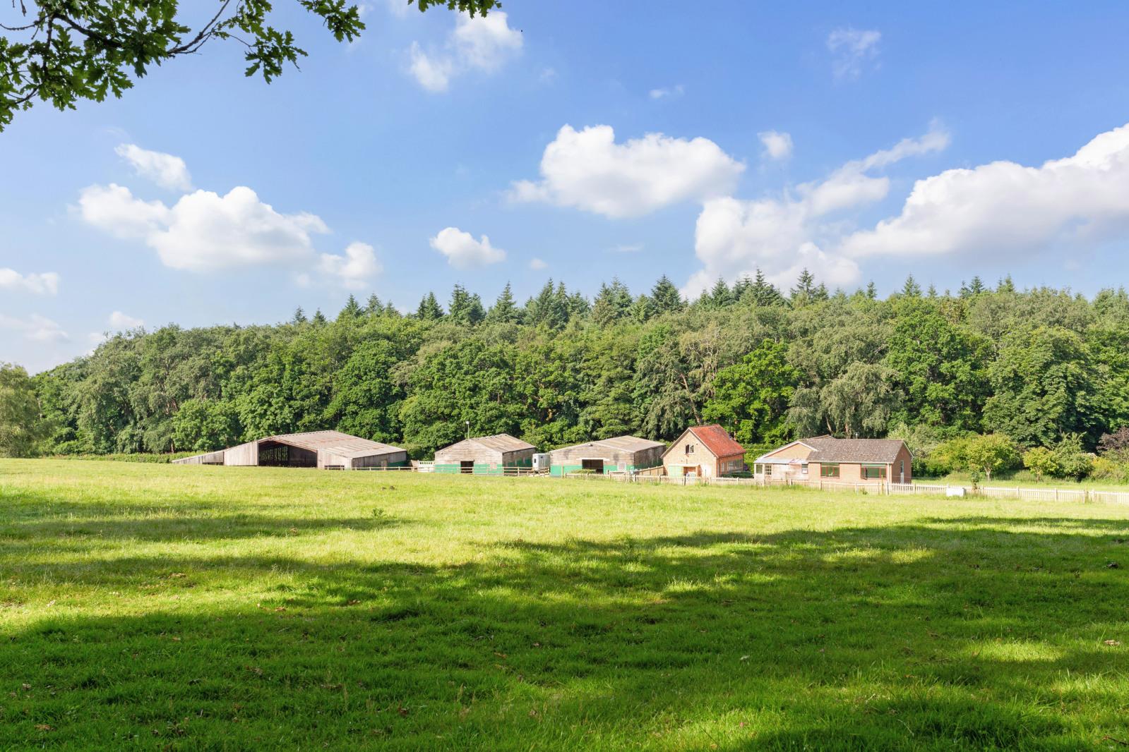 Property Image 86819fbe-37be-4719-8aea-8bf568dfda2d