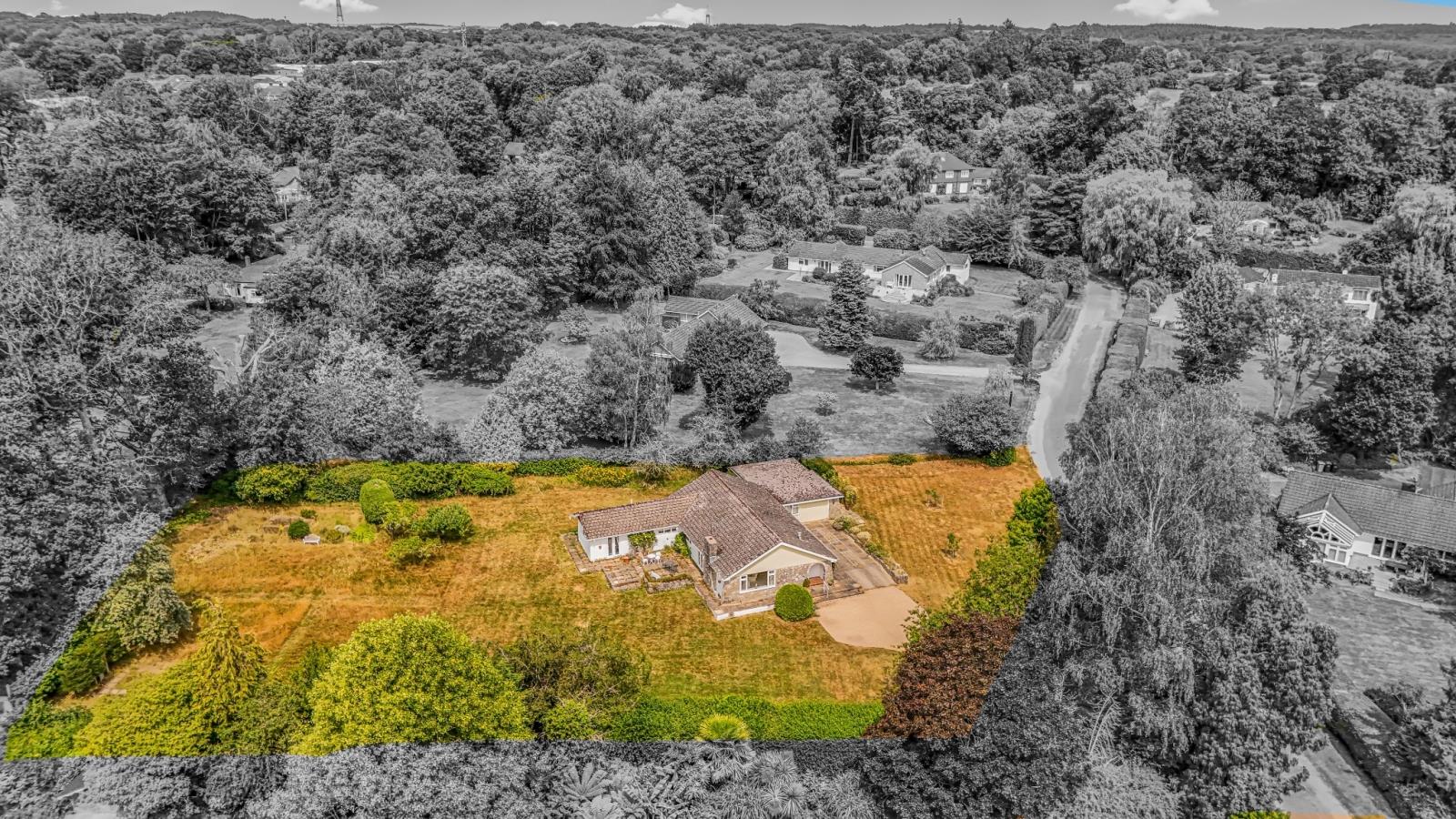 Property Image 868fa2d5-a23c-4343-bab6-4f2033b0e3a8