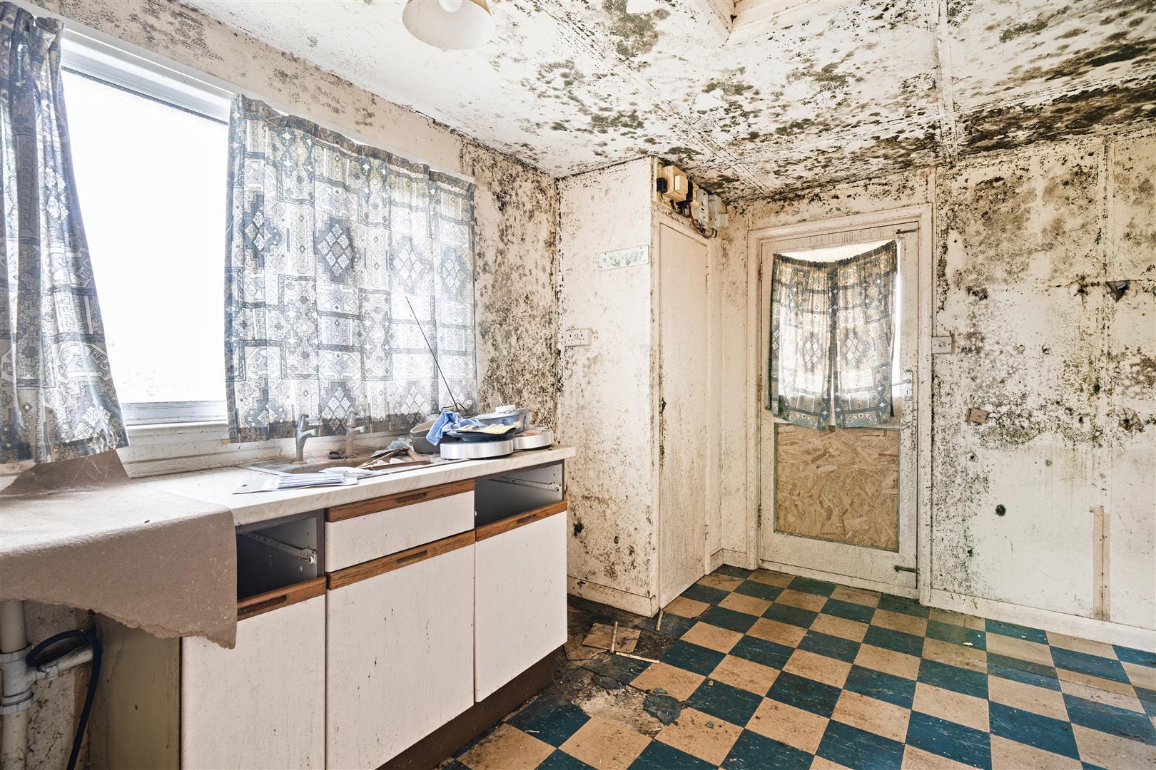 Property Image 86a9d116-582a-4658-986f-04cf5dd20387