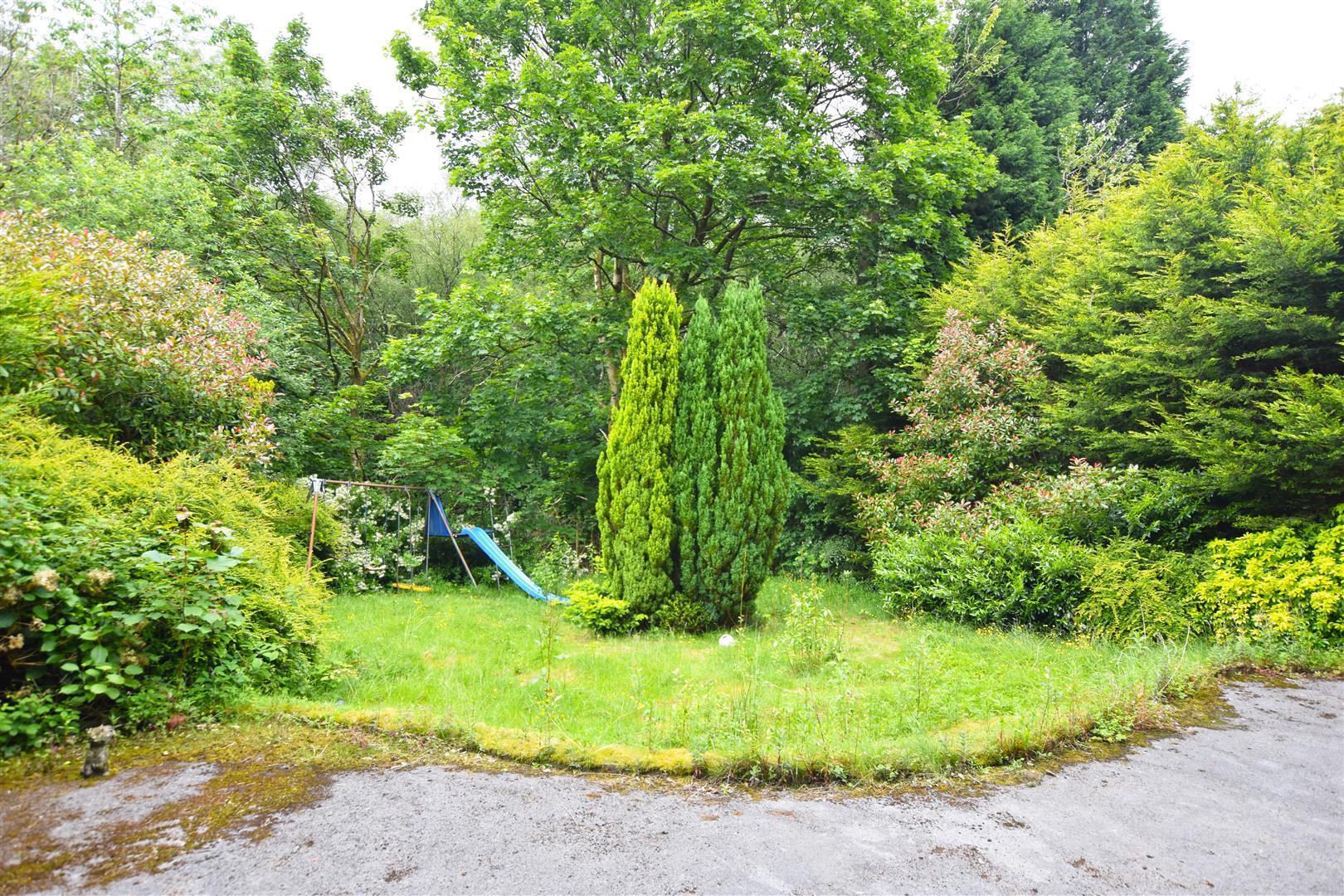 Image 15