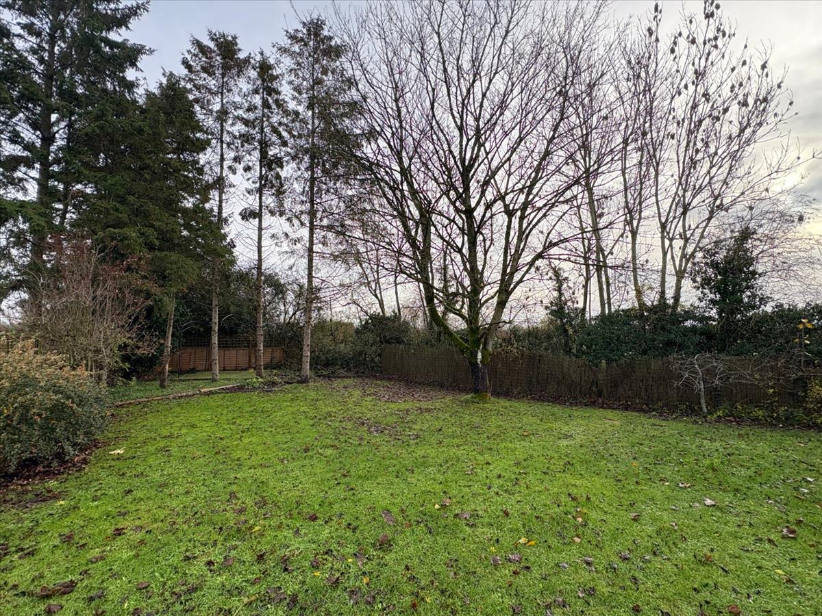 Property Image 86e72f31-9095-47d0-89f8-fcdc3fca643c