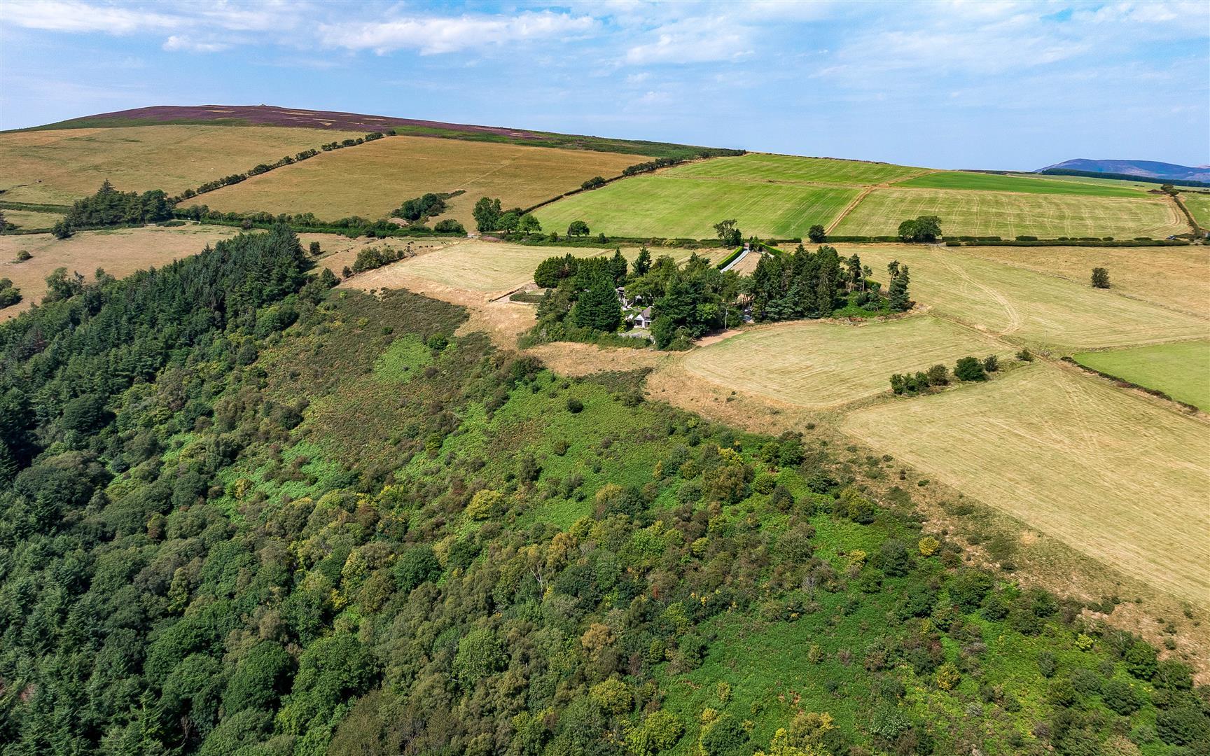 Property Image 87017213-5803-4c6e-b864-d0ac1902a838
