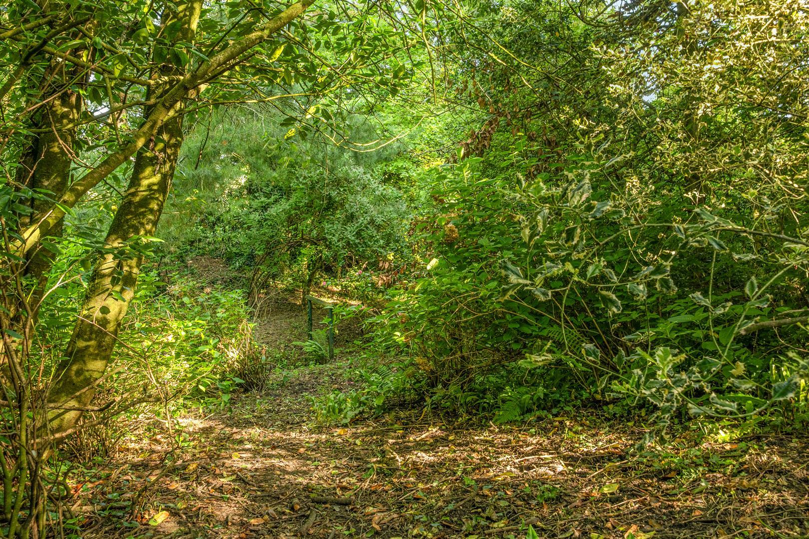 Property Image 870cc4a1-2e03-4ede-a70d-3ee6e6c47e40