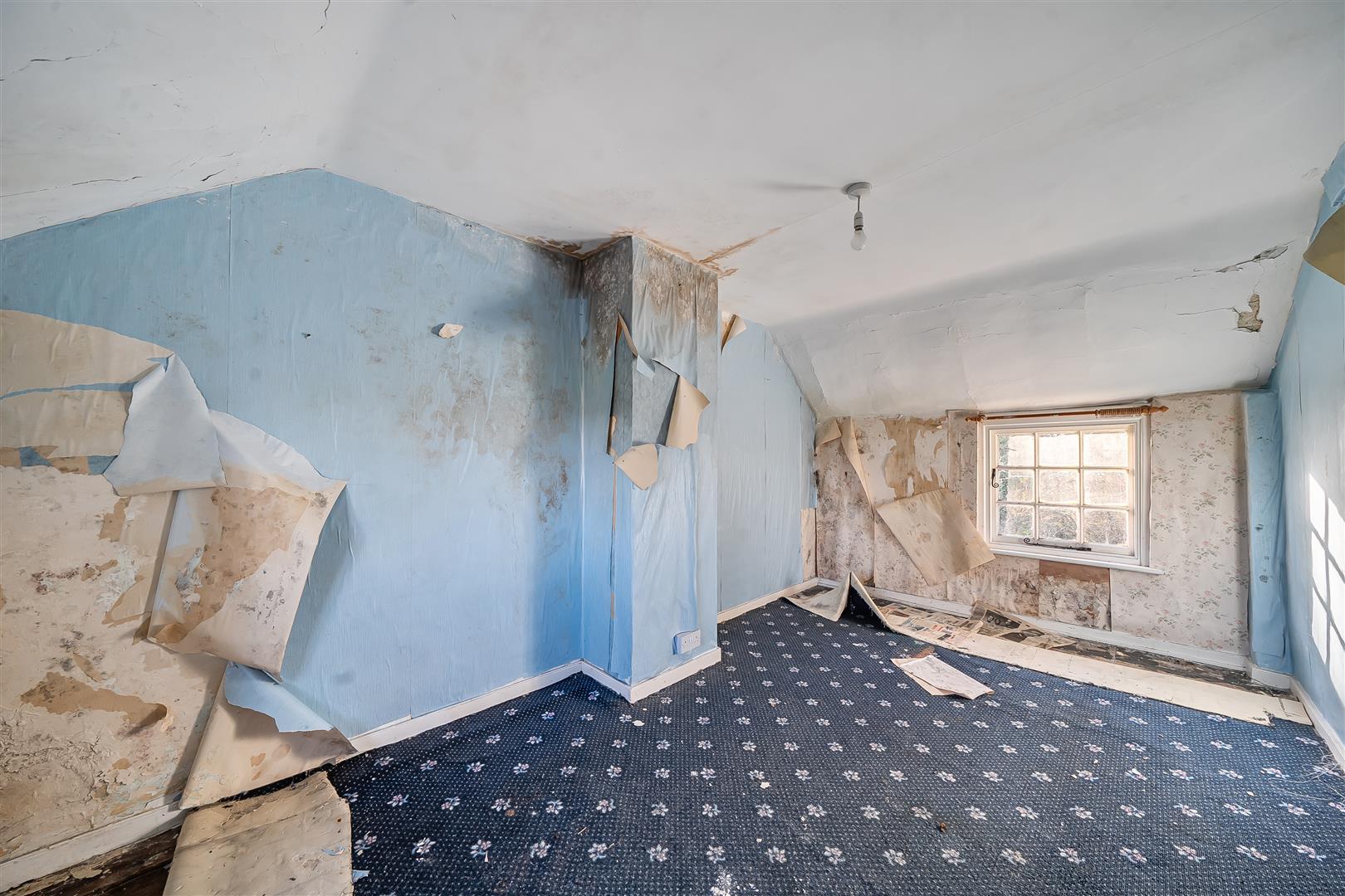 Property Image 8729d991-66f3-4d61-b203-a7198e9d162a