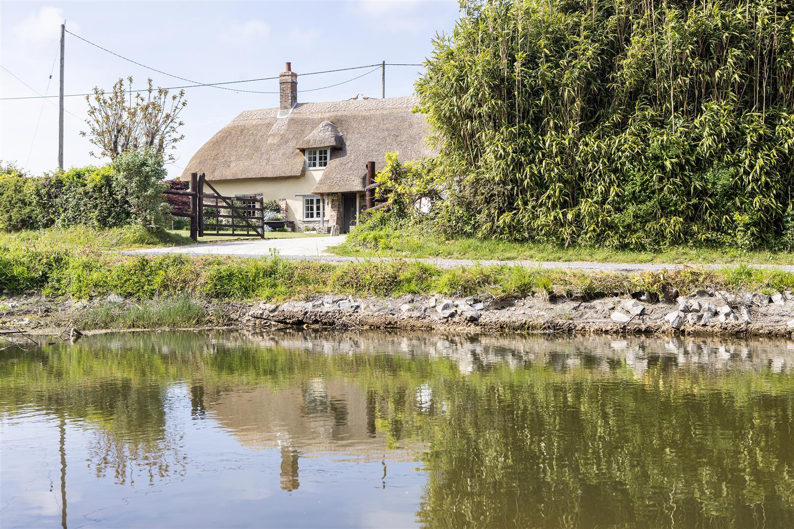 Property Image 8730bd95-3737-43d6-b8d4-458dfaaa312d