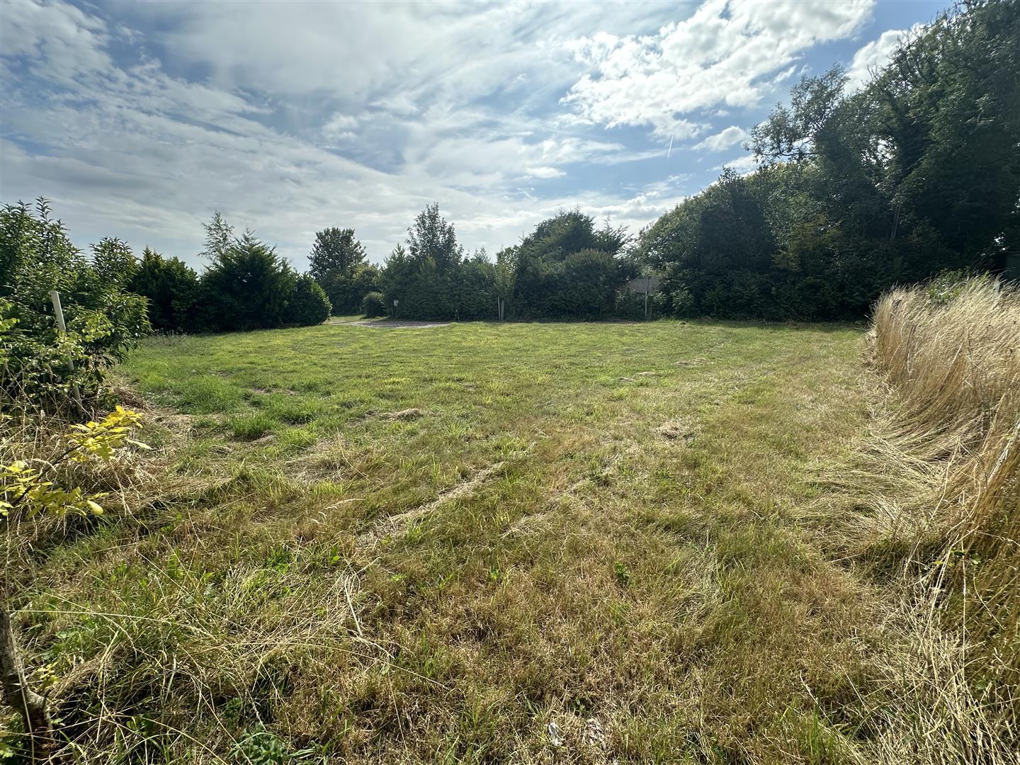 Property Image 8734b9a1-84c5-40d7-939b-ea1b65a70aa0