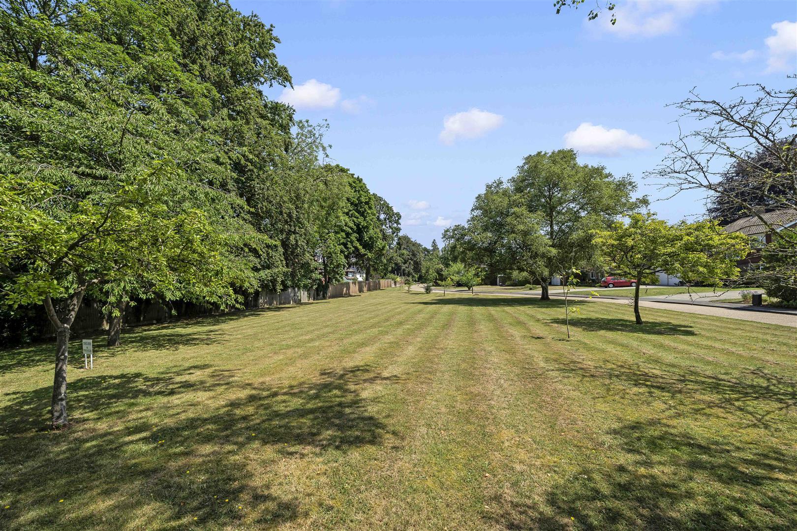 Property Image 8751291a-cadf-4acd-8494-85d27510e438