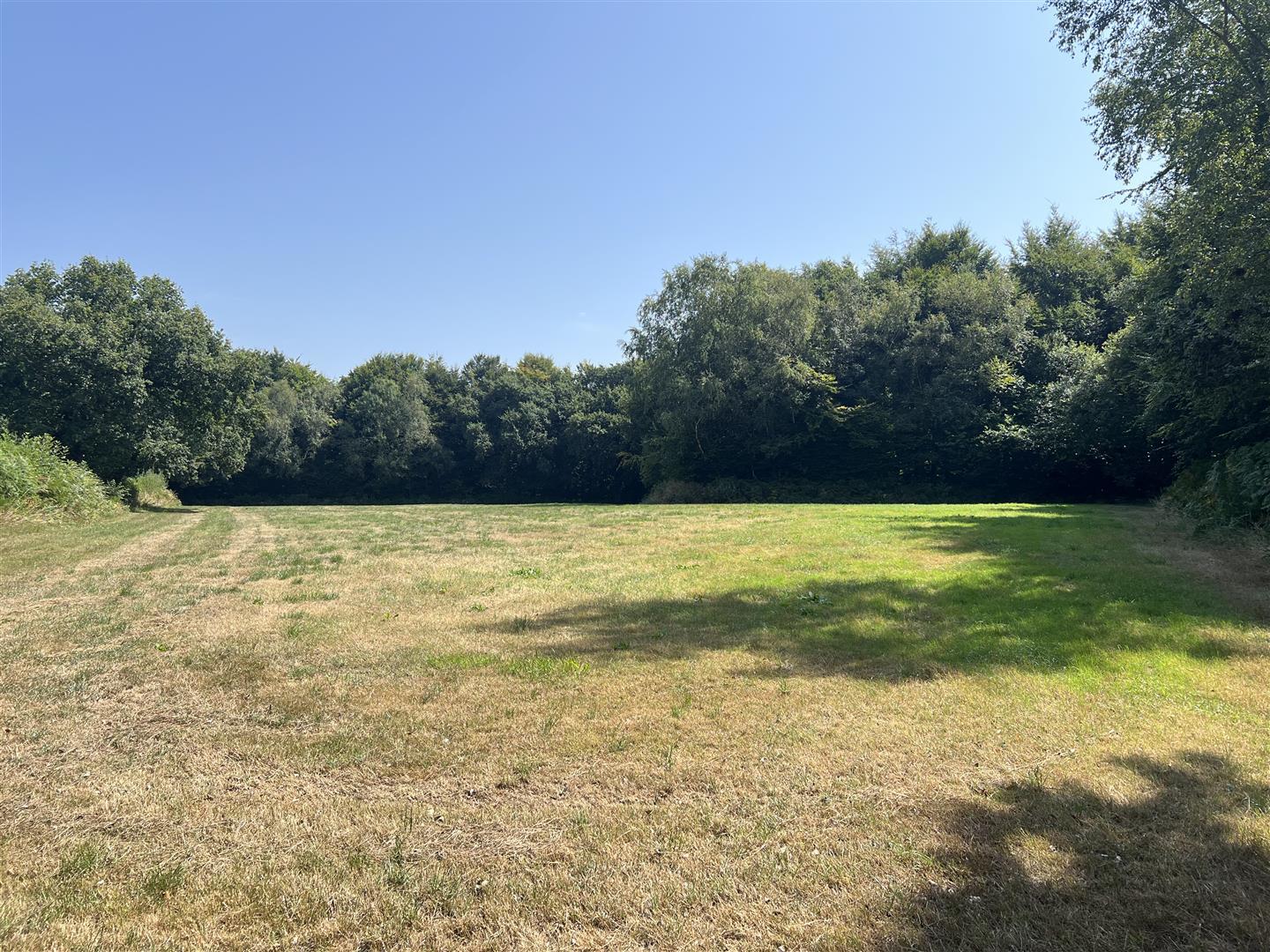 Property Image 875de309-4808-4327-98c2-9bc42e1f8e63