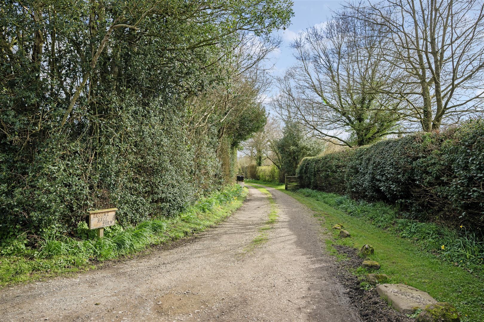 Property Image 87966725-6186-4a8b-886d-2232a5d47465