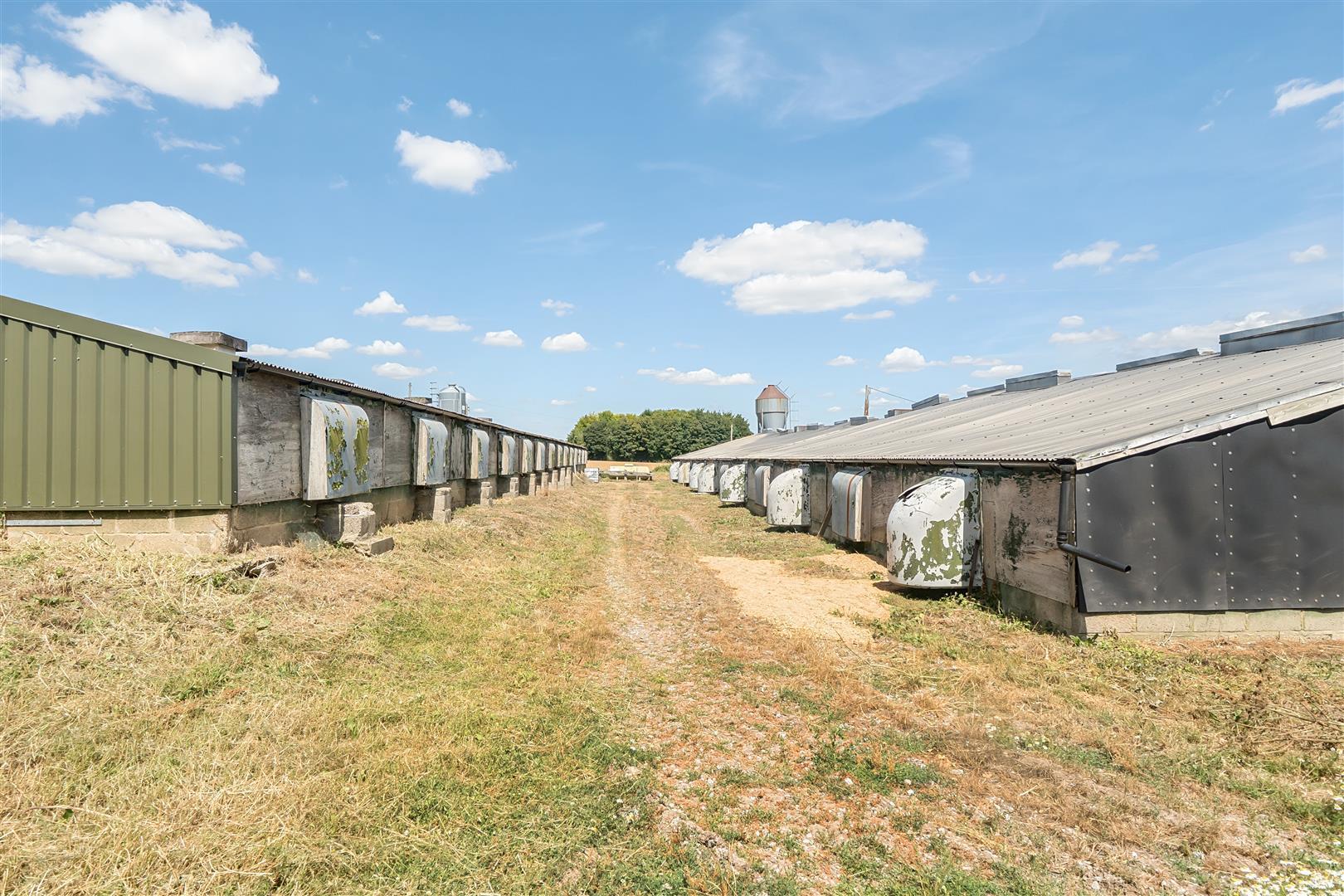 Property Image 87b2b7c8-875d-4395-9c06-01340f67e155