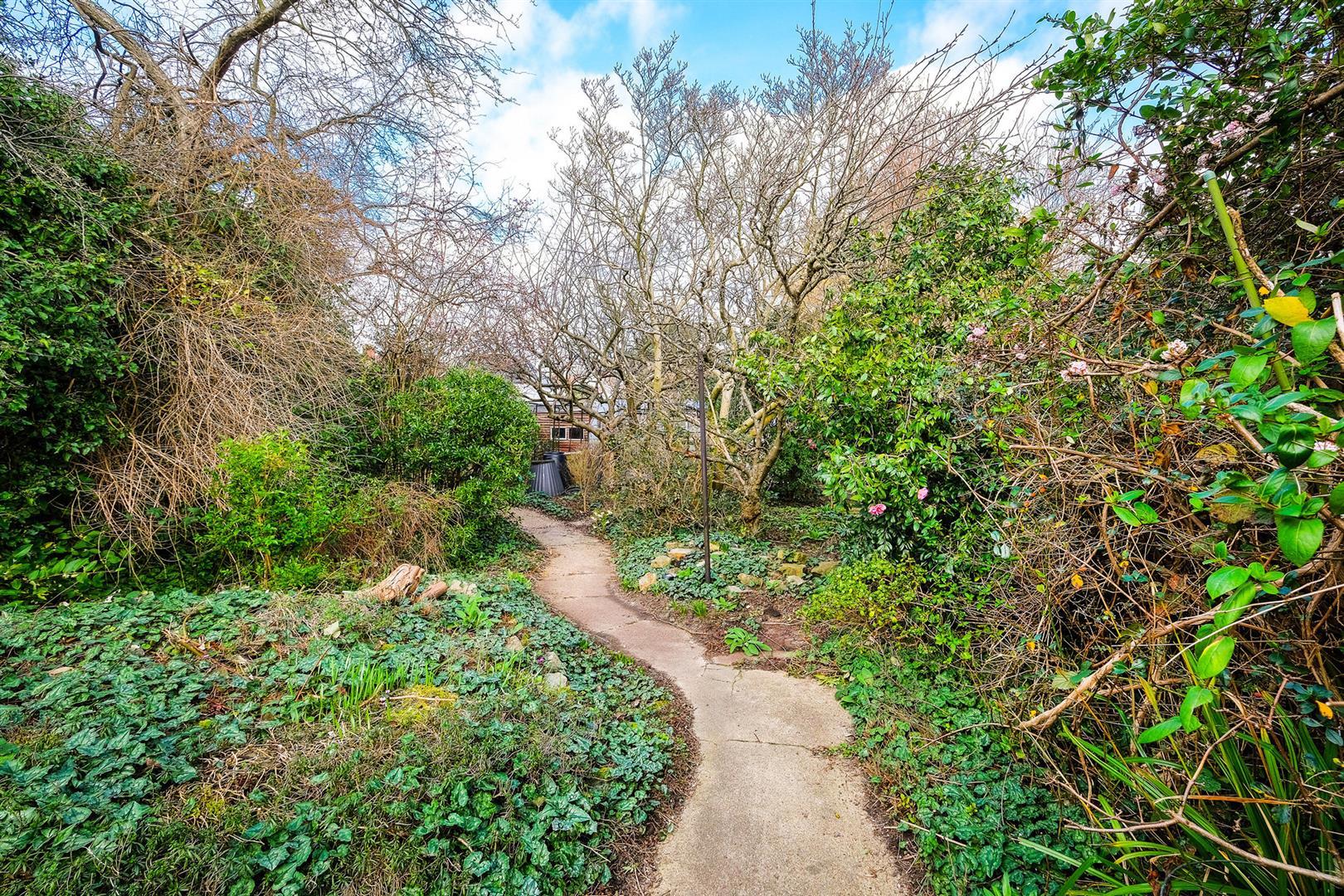 Property Image 87b4b20d-2741-4d0c-a03b-cea682d58b9b