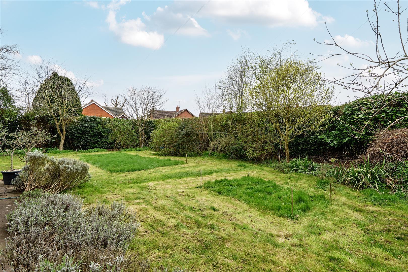 Property Image 87b809d2-5d24-4118-8d80-642a8f045017