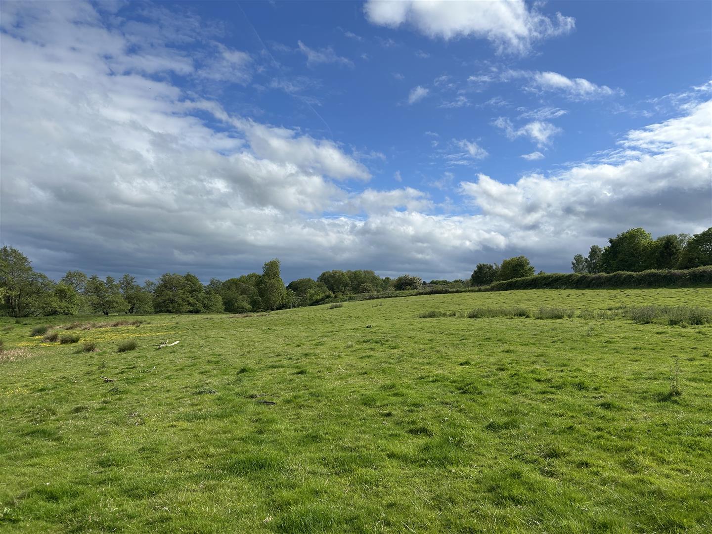 Property Image 87b81c2d-3998-408a-8683-07b653a1a3e8