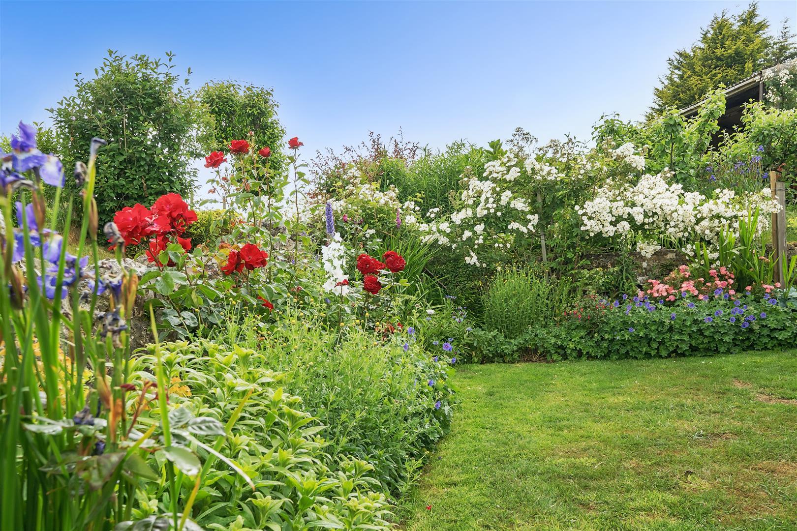 Property Image 88030ae3-f760-43e5-877d-97b9f54e4a73