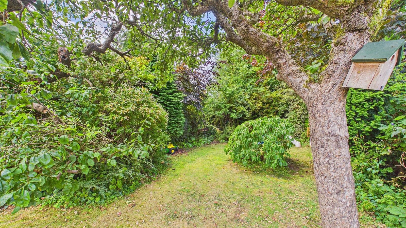 Property Image 880d7a0d-2b8e-4ca1-bc53-1c51d99248f2