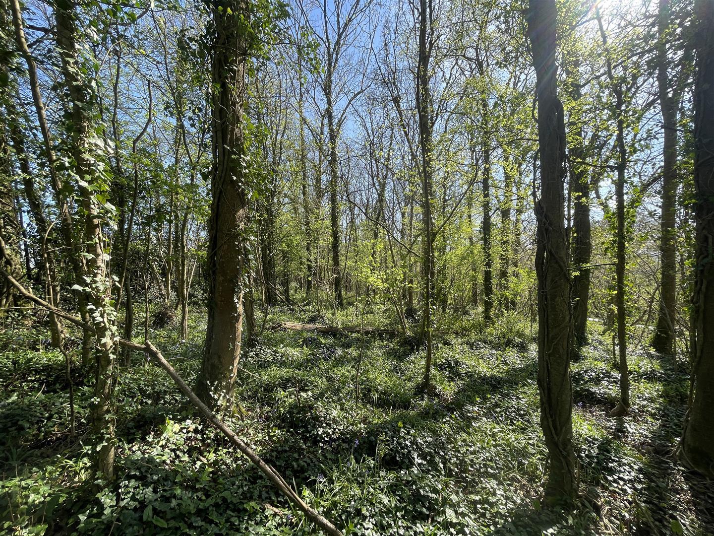 Property Image 88134c33-7435-422d-abf7-bcf7f900f8cf