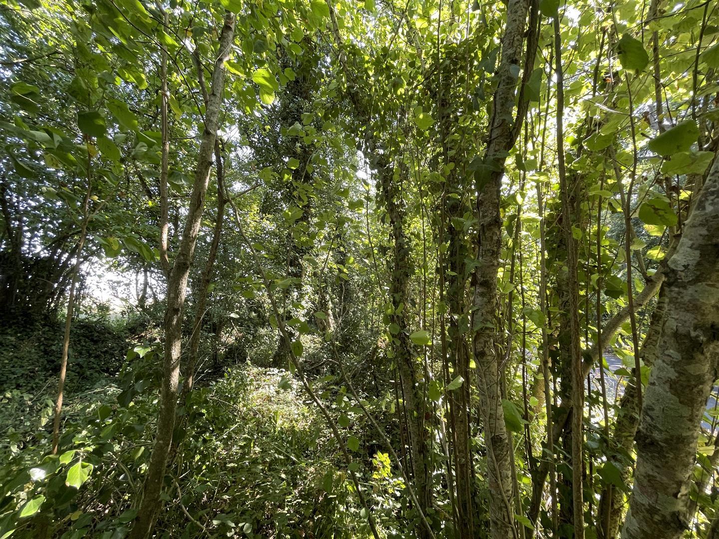 Property Image 8830ecb1-5cfe-49e3-9bd2-120c84ae48d2