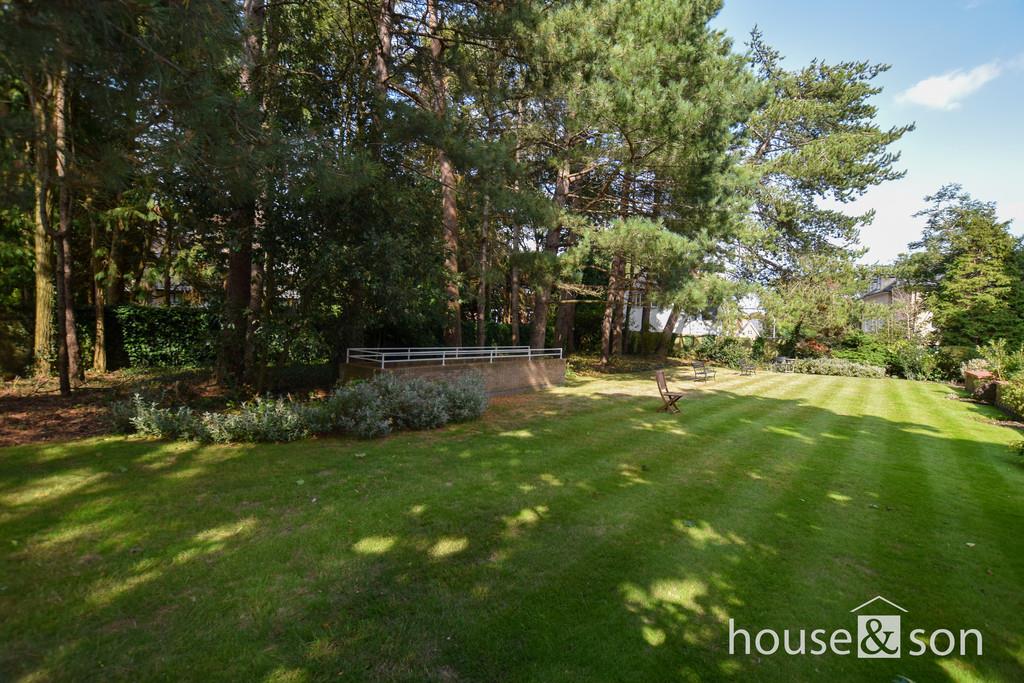 Property Image 8839a81a-92be-4dc4-a165-b286b09692bc