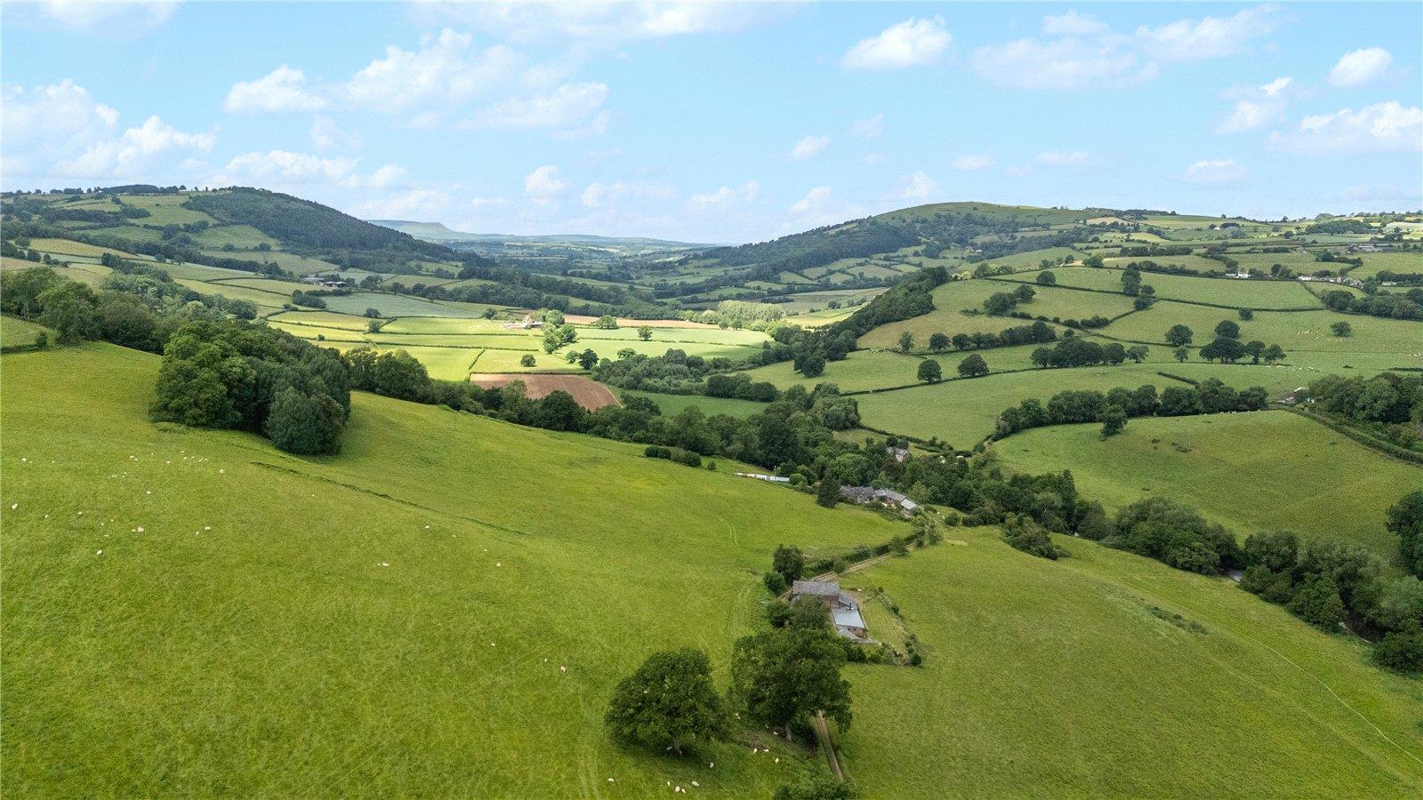 Property Image 88488ee4-1da5-42d3-b3a8-43f5d8d40cfe