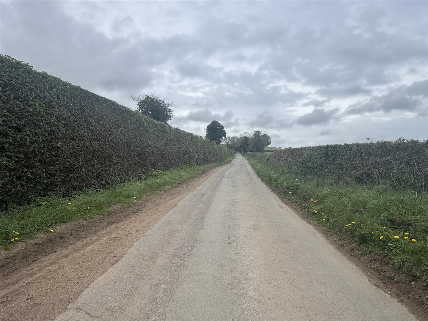 Property Image 884d170e-9730-4679-85ad-f5611e7b9a66