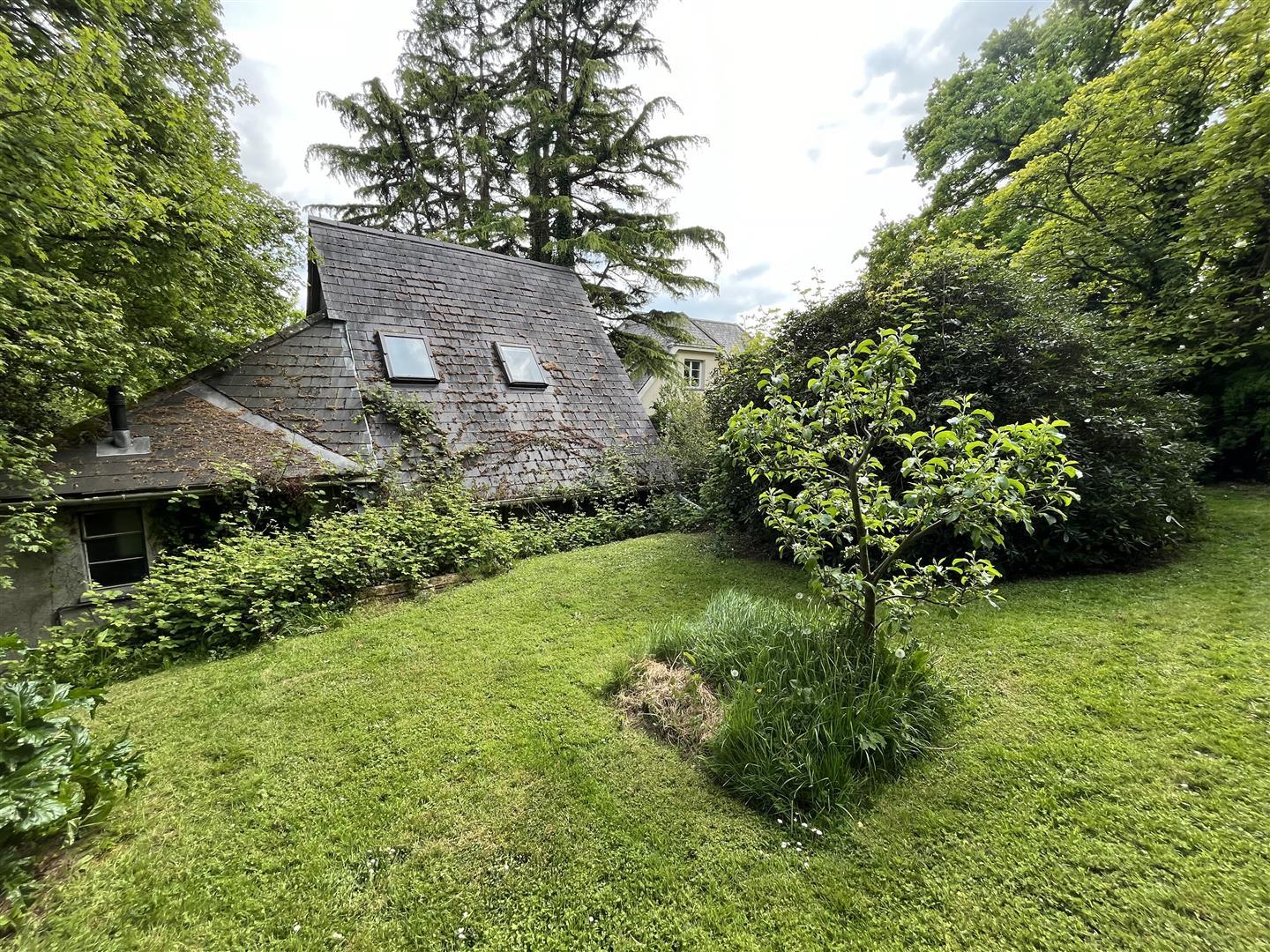 Property Image 88afd218-c443-4a2b-accf-145a50484f7d