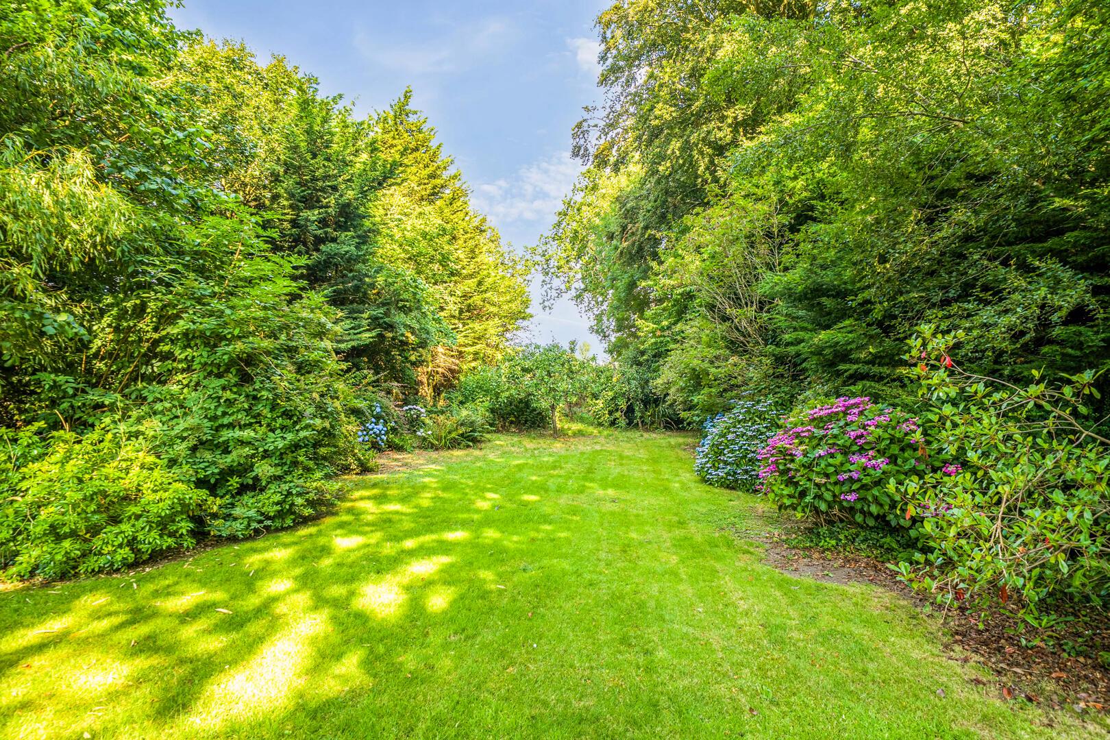 Property Image 88d917ba-d33d-4073-9d72-24d792e01b42