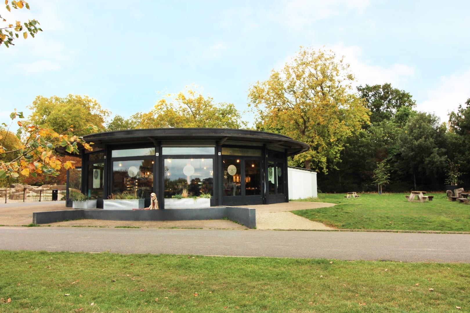 Property Image 88dc9fa0-c2c7-4c57-8d41-3f19930e4ce0