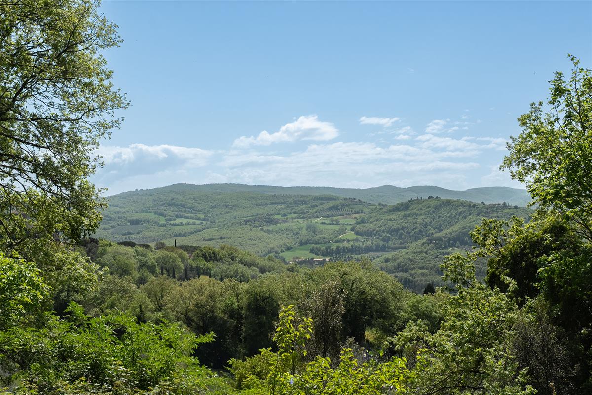 Property Image 88e832e6-73ac-48fd-9ab9-79c659b2a411