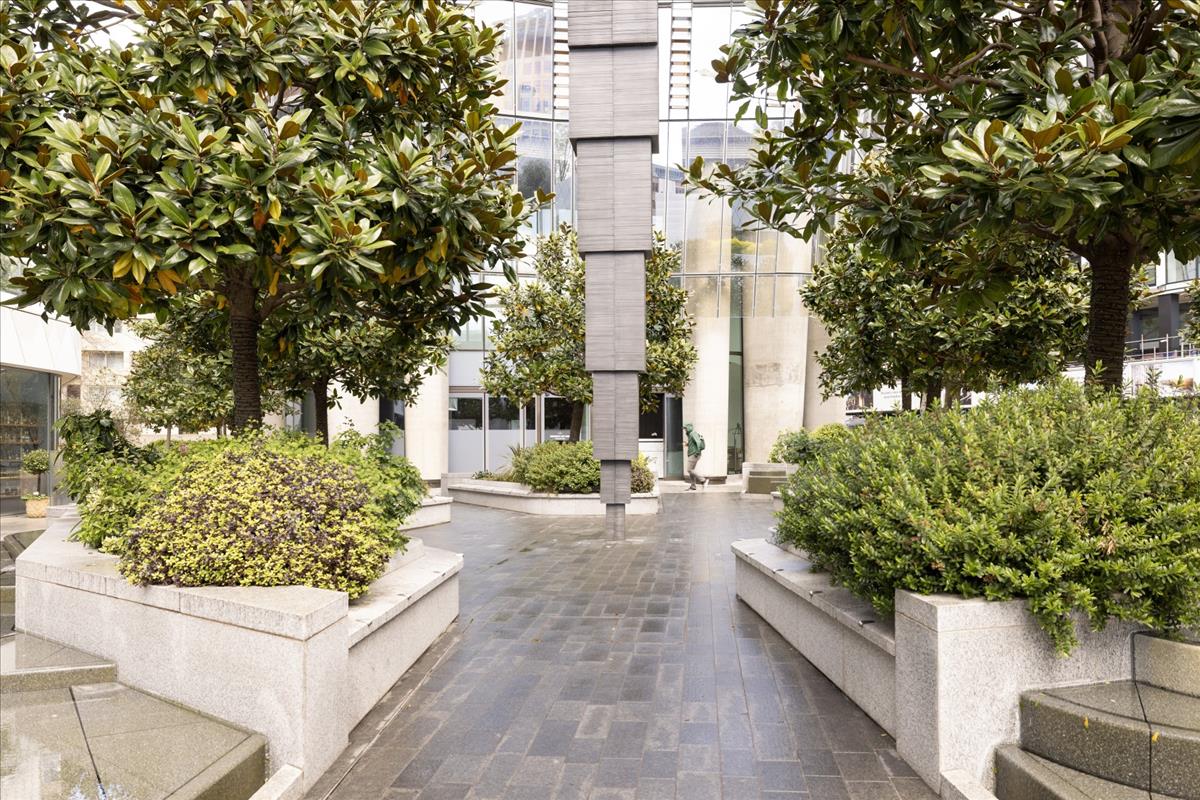 Property Image 88f64cdc-6005-460b-b556-7414c5f0b44d