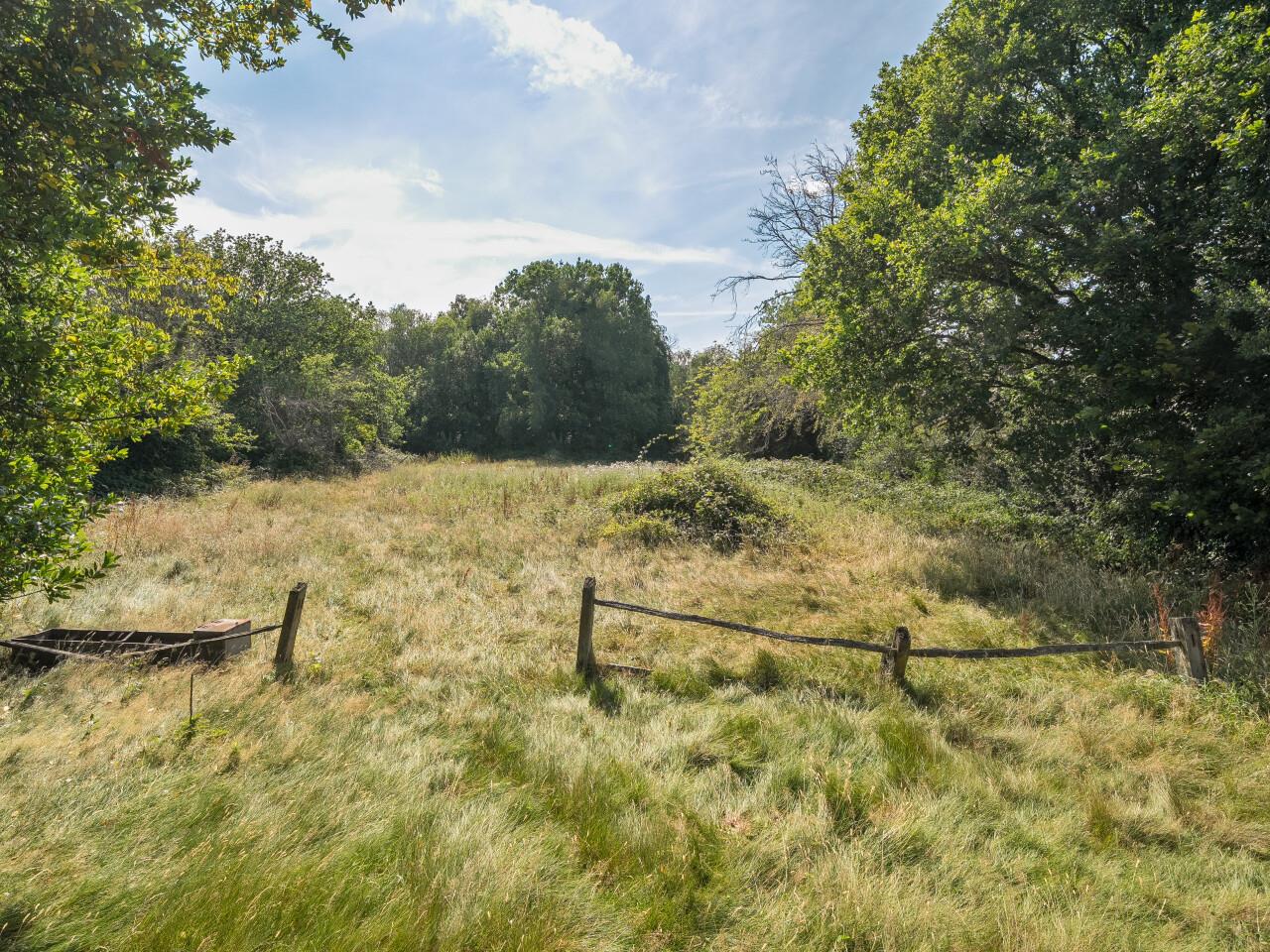 Property Image 890b1f1a-2d16-48c9-b283-a959ee33cc89