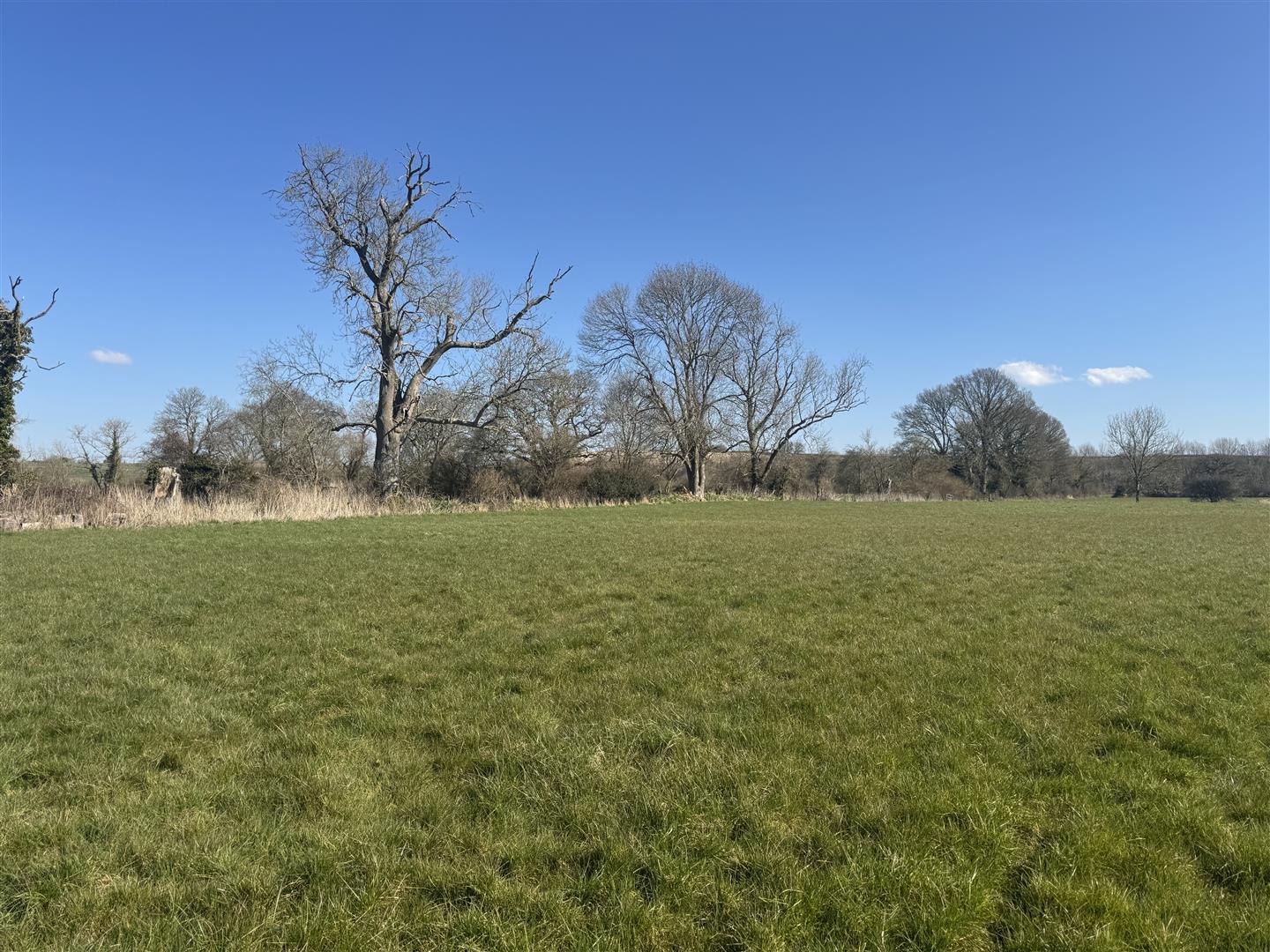 Property Image 8915fd5c-e07a-45d3-92f0-228620f0ceda