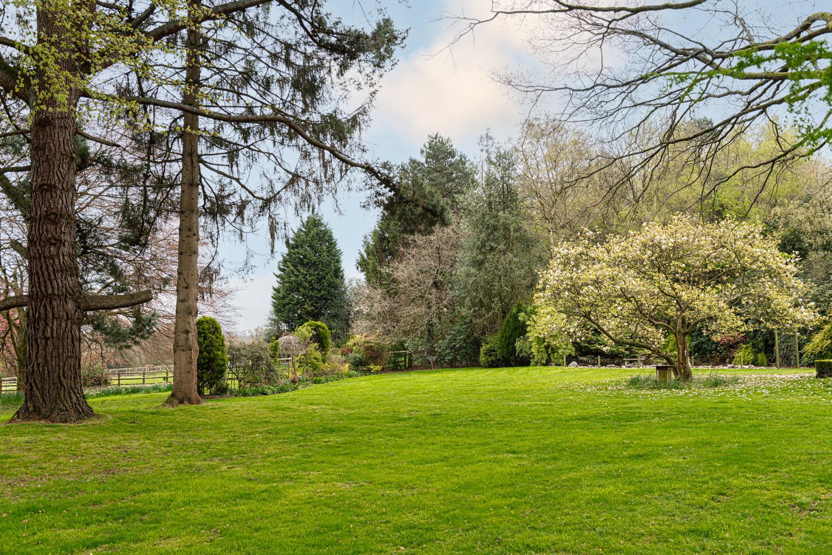 Property Image 891794f9-9e8d-4a8d-b1dd-9547f2f88162