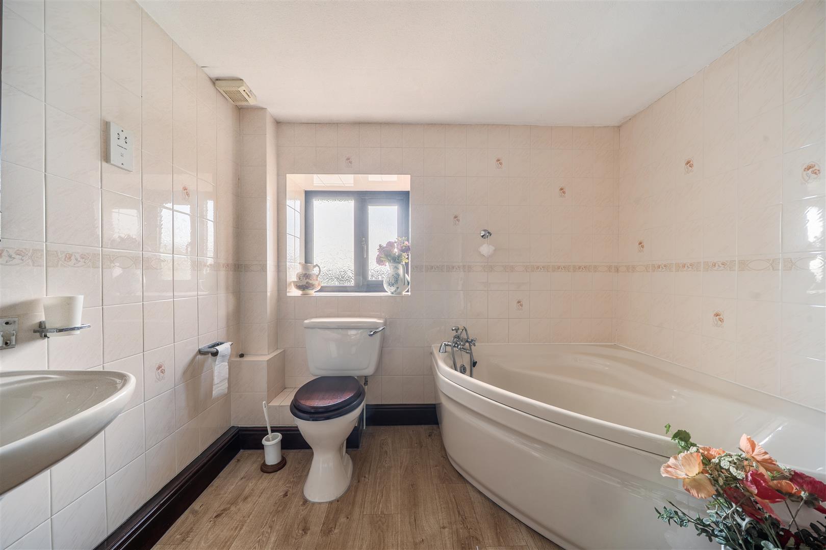 Property Image 8919bdb7-2367-46bd-b21a-52fa3fa75bbc