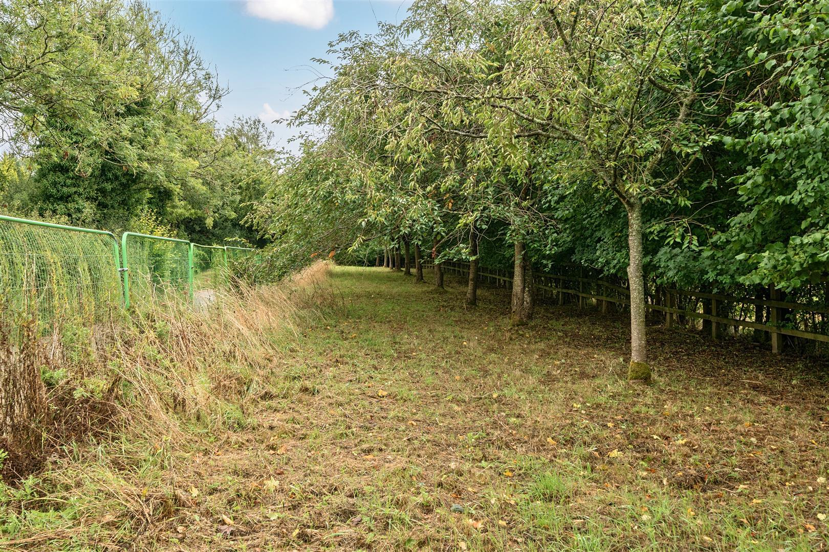 Property Image 89446b22-8d9e-4374-b928-76e4b37c1c74