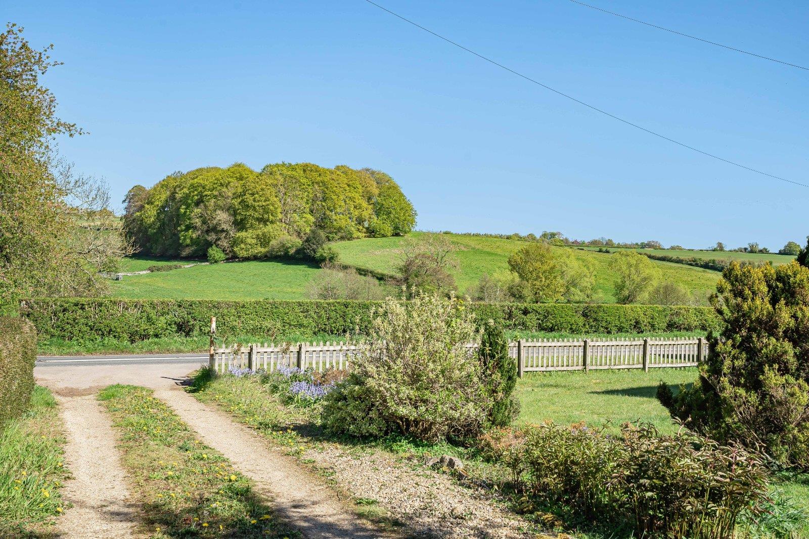 Property Image 894ef2b5-07a2-4d81-b274-b93027e8b5a4