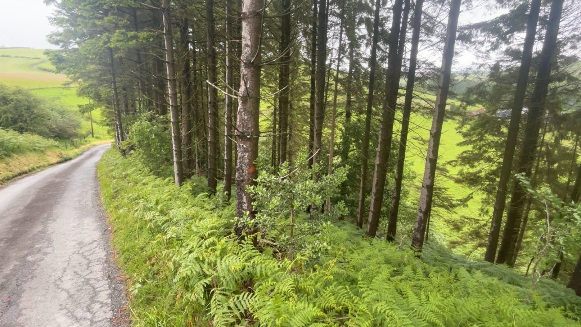 Image 8