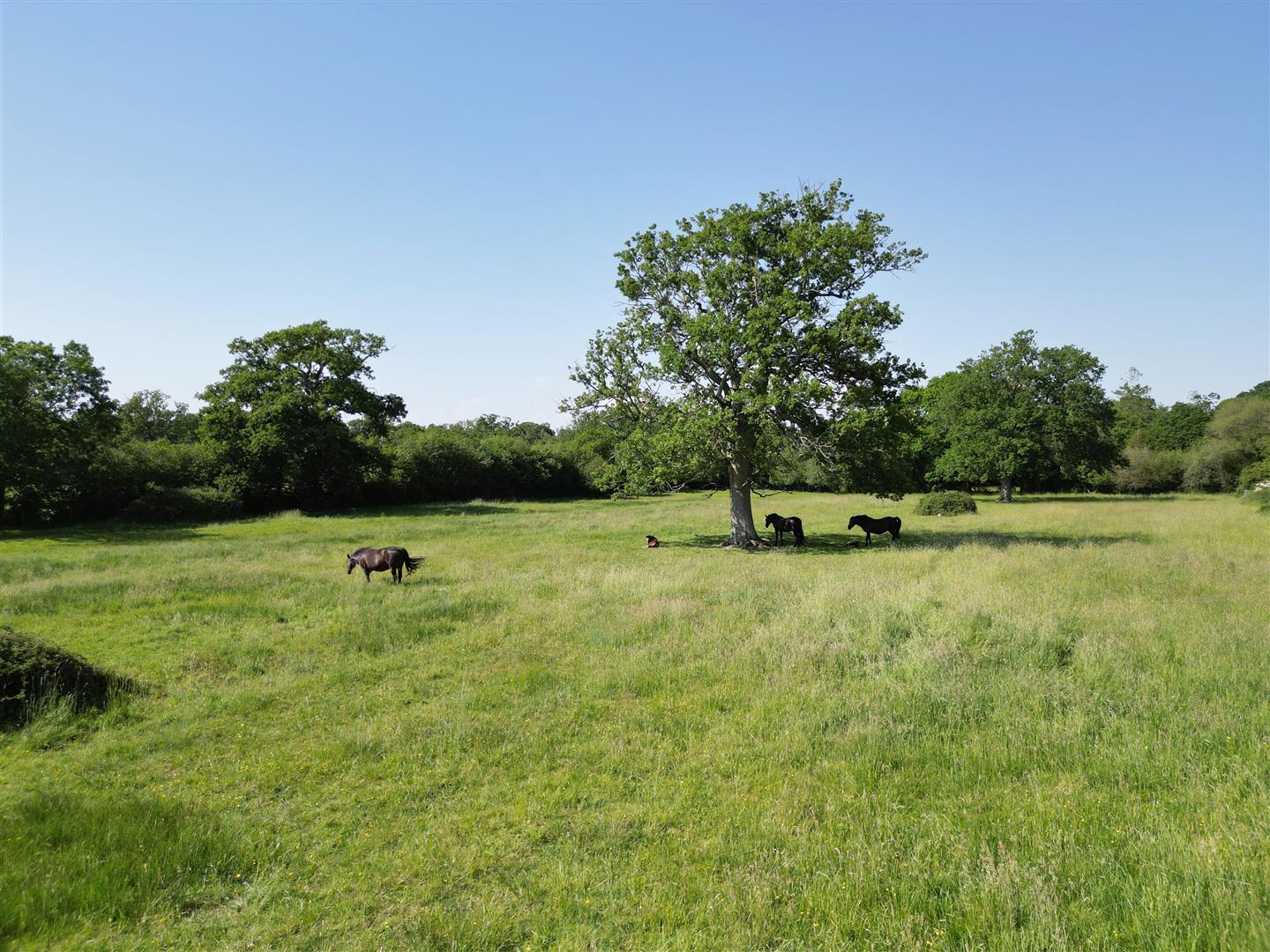 Property Image 89b7792e-ce07-45c6-aef1-239bdce10b19