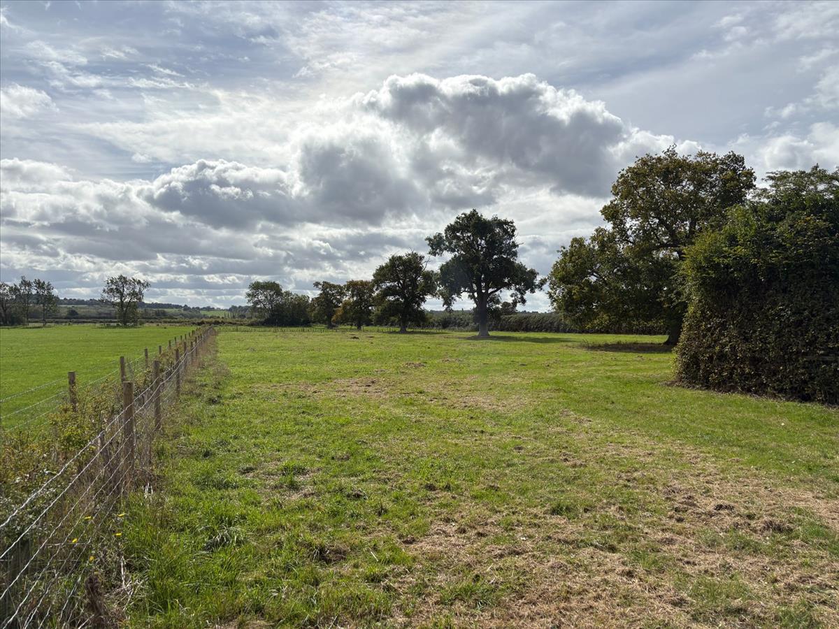 Property Image 89d047ac-ddfa-4611-a34f-1b79c020fe46