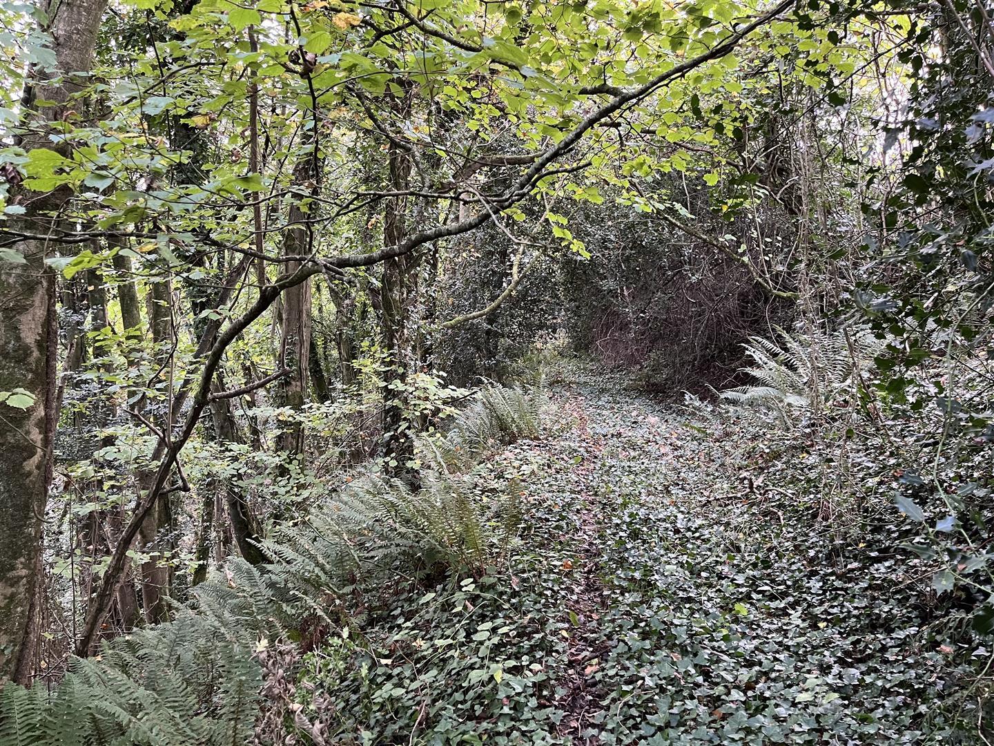Property Image 89e214f8-9f5f-4536-861c-8fa43aa4cae5