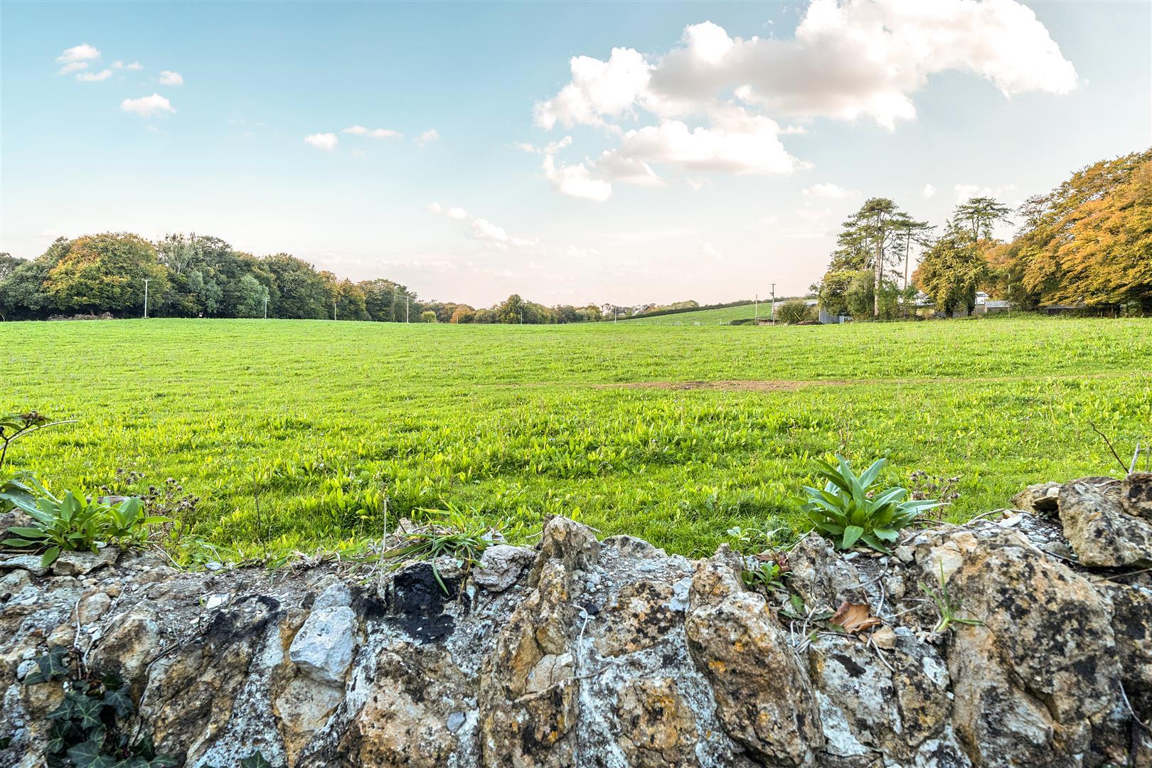 Property Image 89e2a3b6-6c20-4b4d-894b-7425eca6ff7d