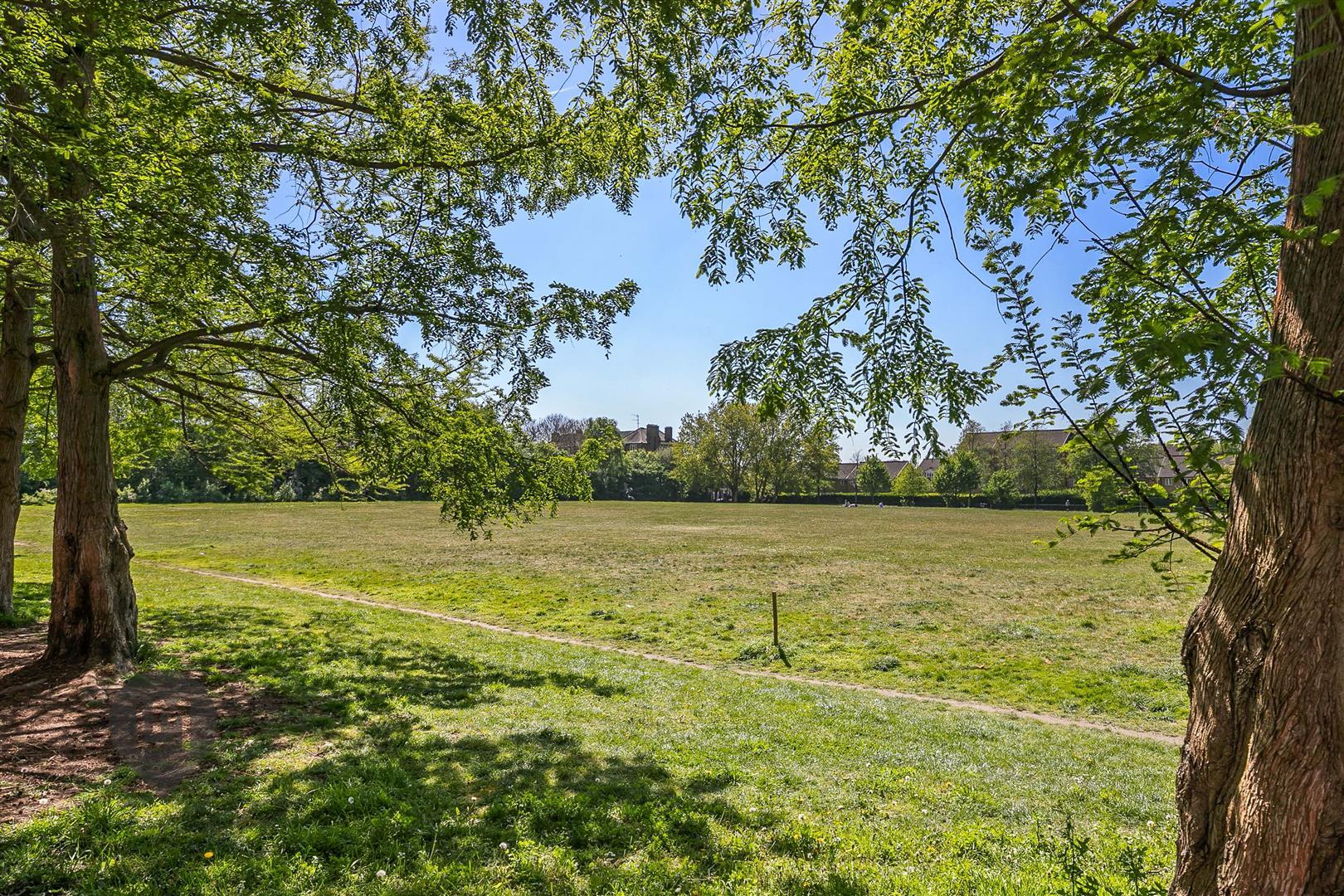 Property Image 89f5bc08-b6ef-44c5-9758-03cc958c1908