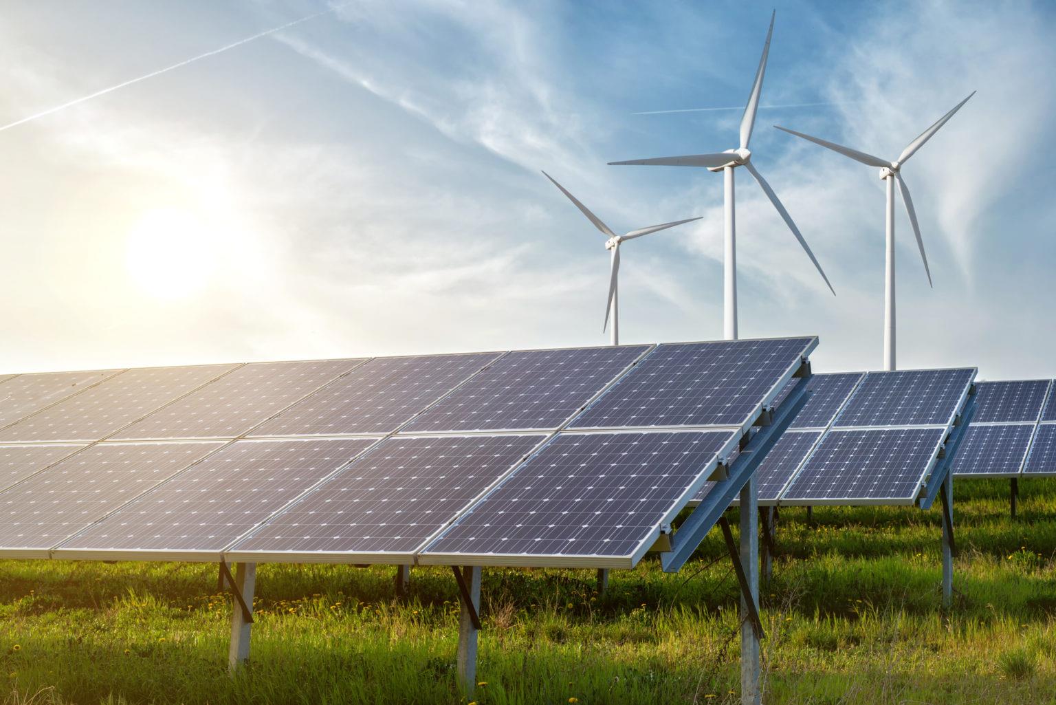 environmental and renewable energy experts