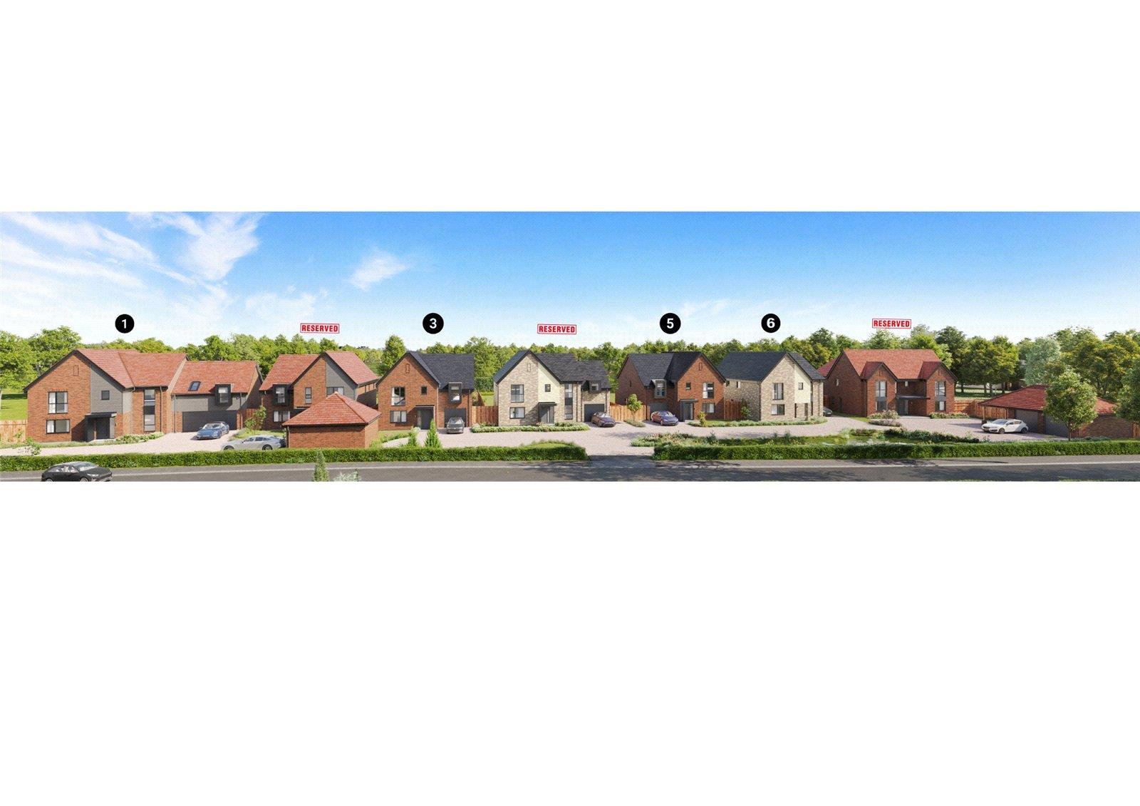 Property Image 8a475615-0827-421d-9d68-51f9ad9120b2