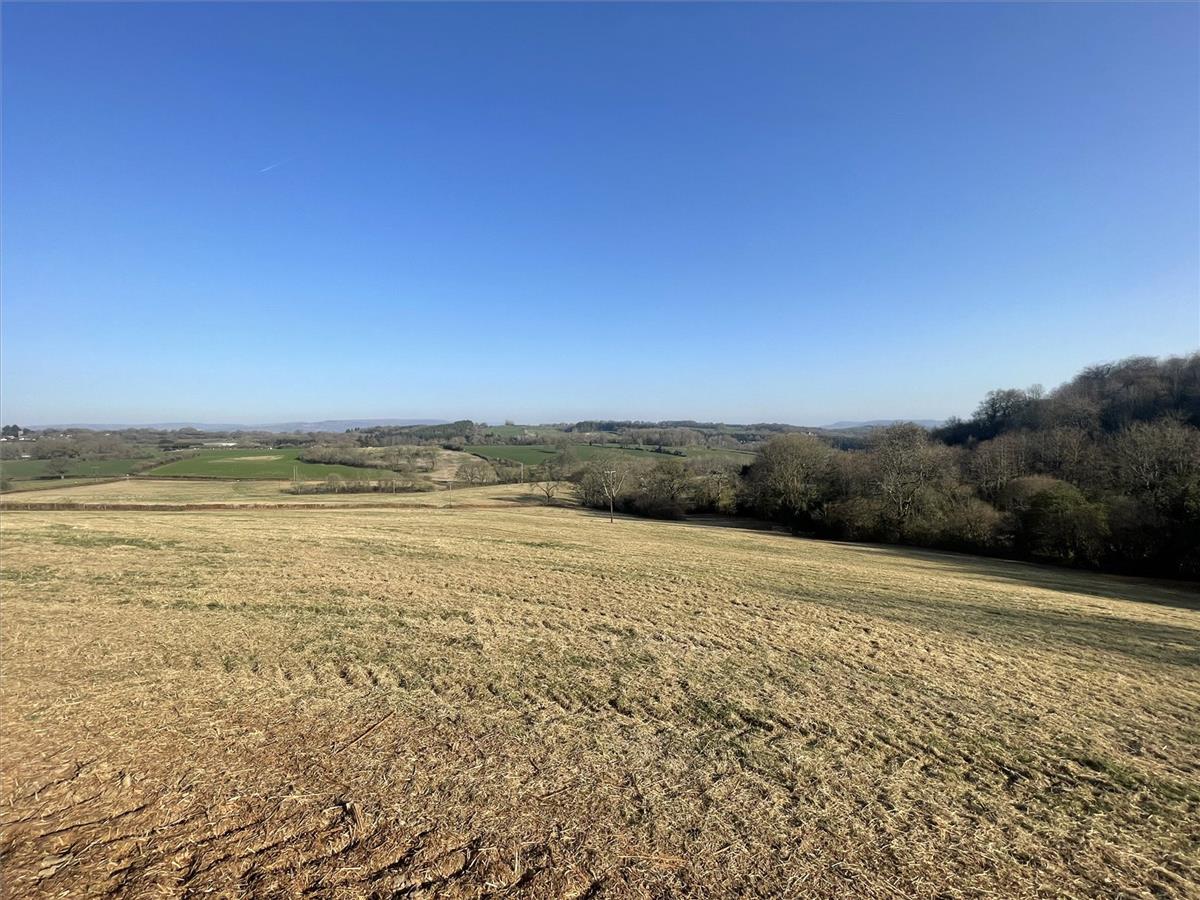 Property Image 8a6b9056-3e3d-45d7-a02f-d7eedf6e872f