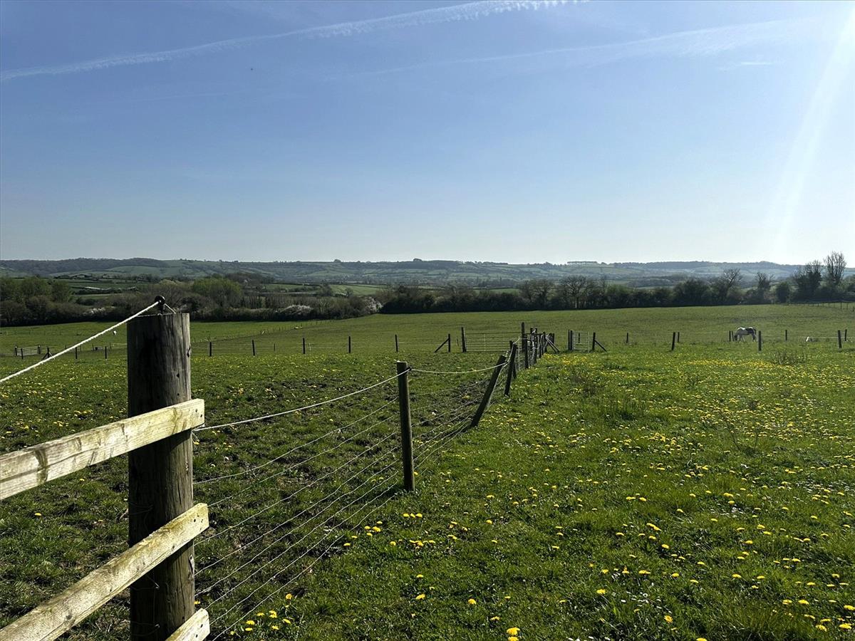 Property Image 8aa0ec6b-d06b-4511-865c-fd56e6d8f7c5
