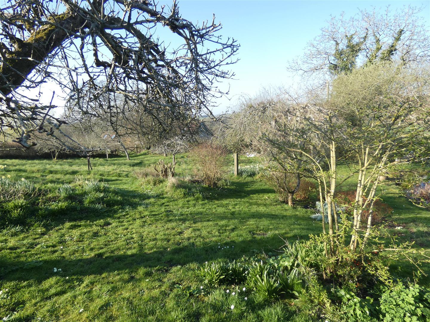 Image 30