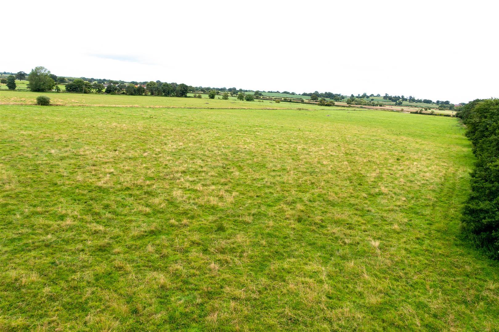 Property Image 8ad08711-a136-4592-86d5-d1d52d1ab69c